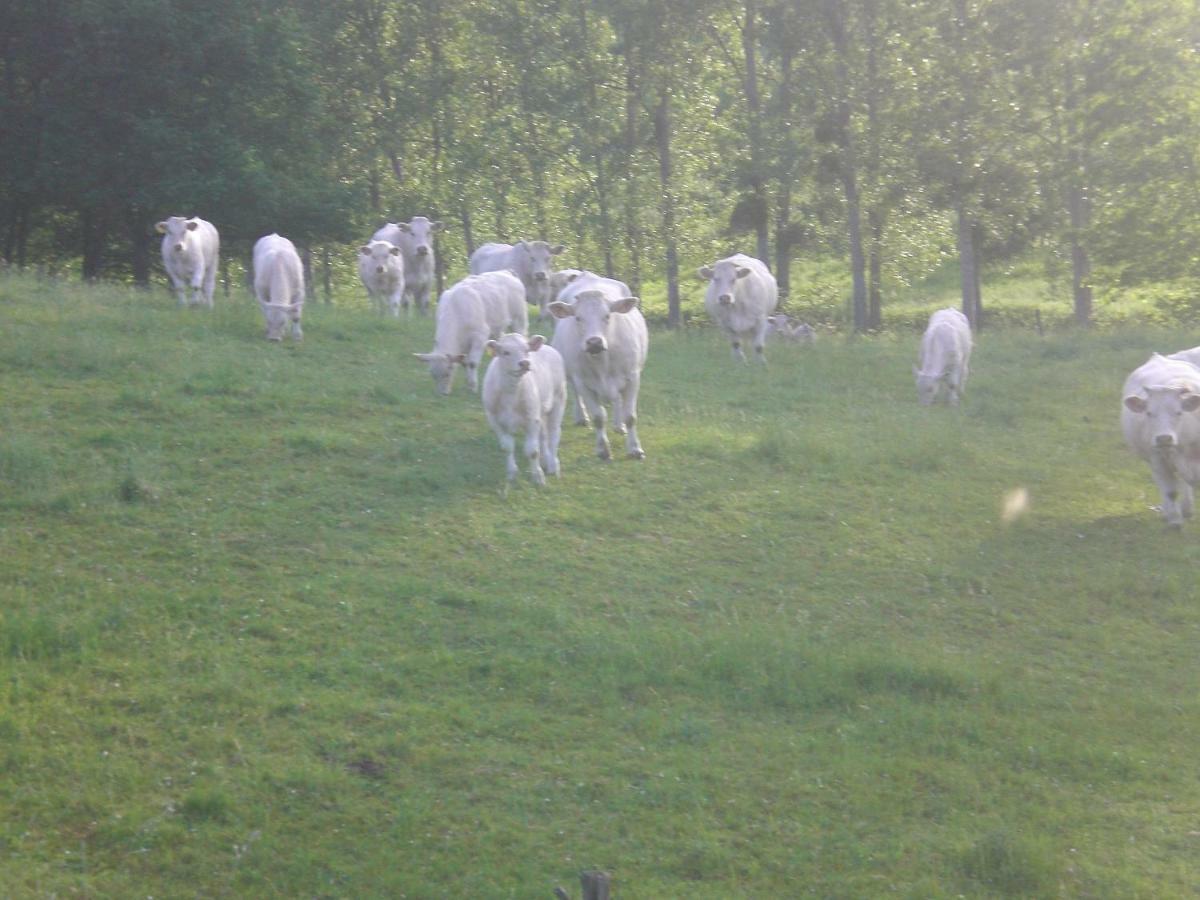 Chez Mimoune Trezioux Eksteriør billede