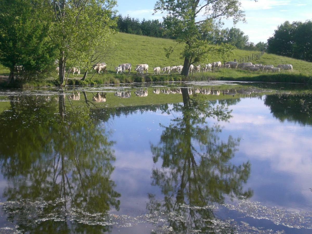 Chez Mimoune Trezioux Eksteriør billede